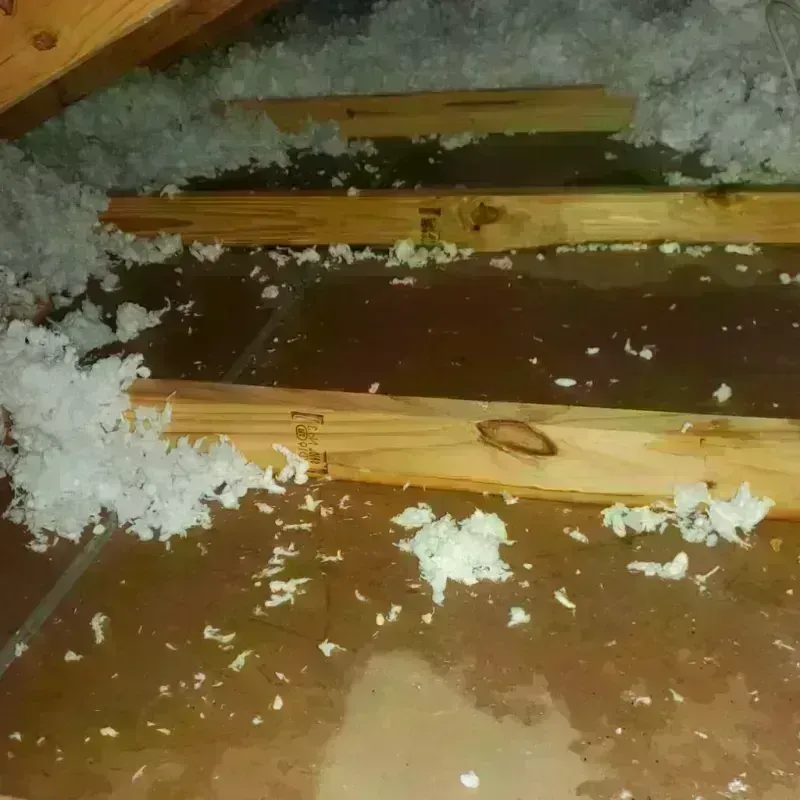 Attic Water Damage in Mercer County, OH